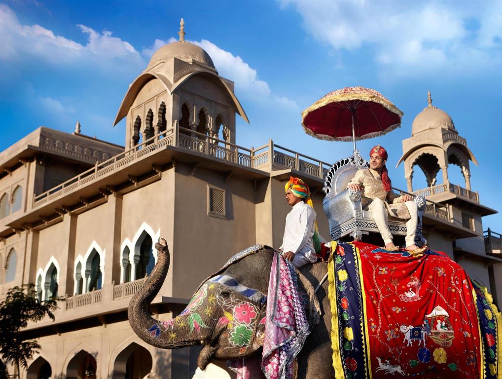 Поездка в индию. Тритон в Индии в Джайпуре. Экскурсионный туризм в Индии. Путеводитель по Индии. Катание на слонах в Джайпуре.